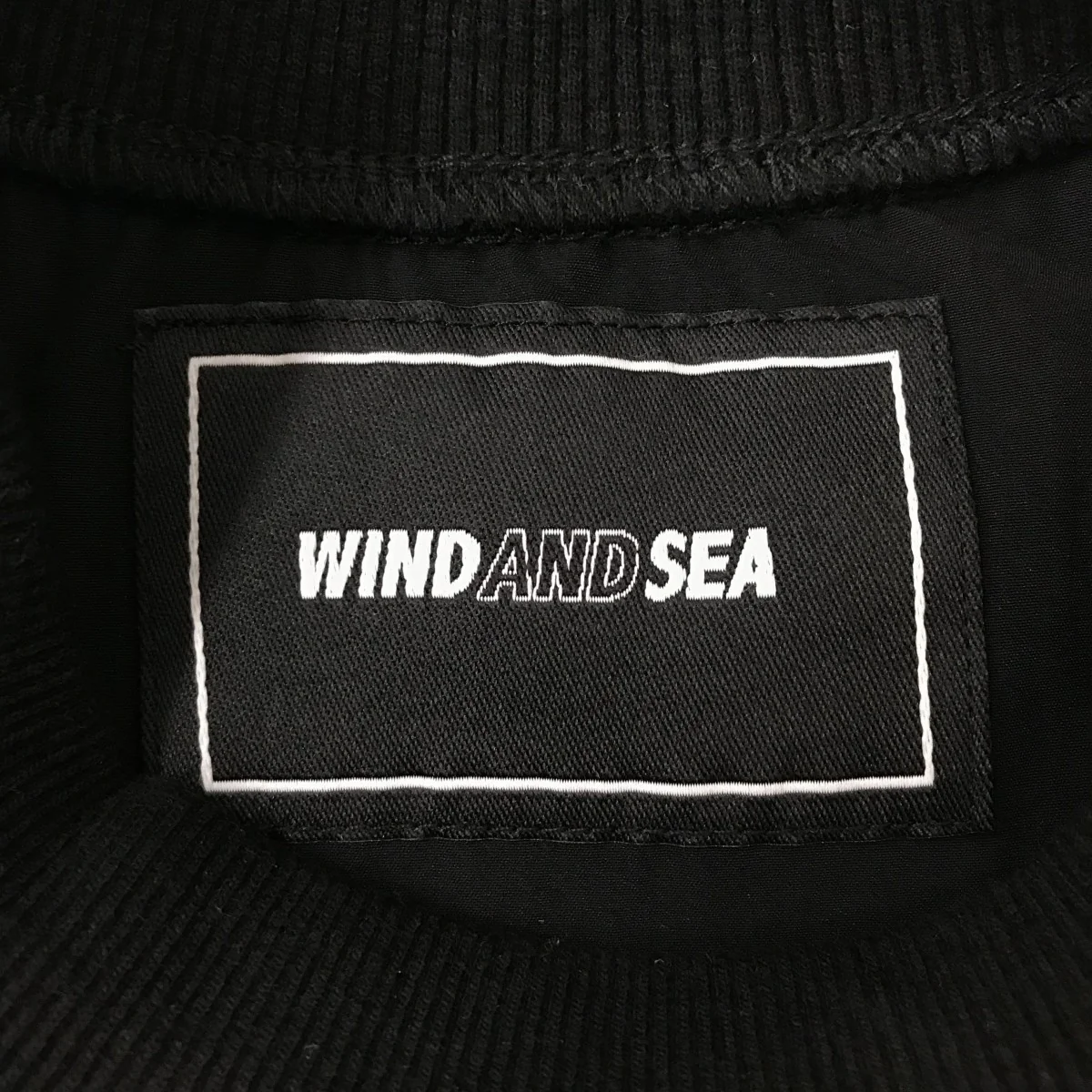 TシャツWDS-20S2-TPS-01 - Image 3