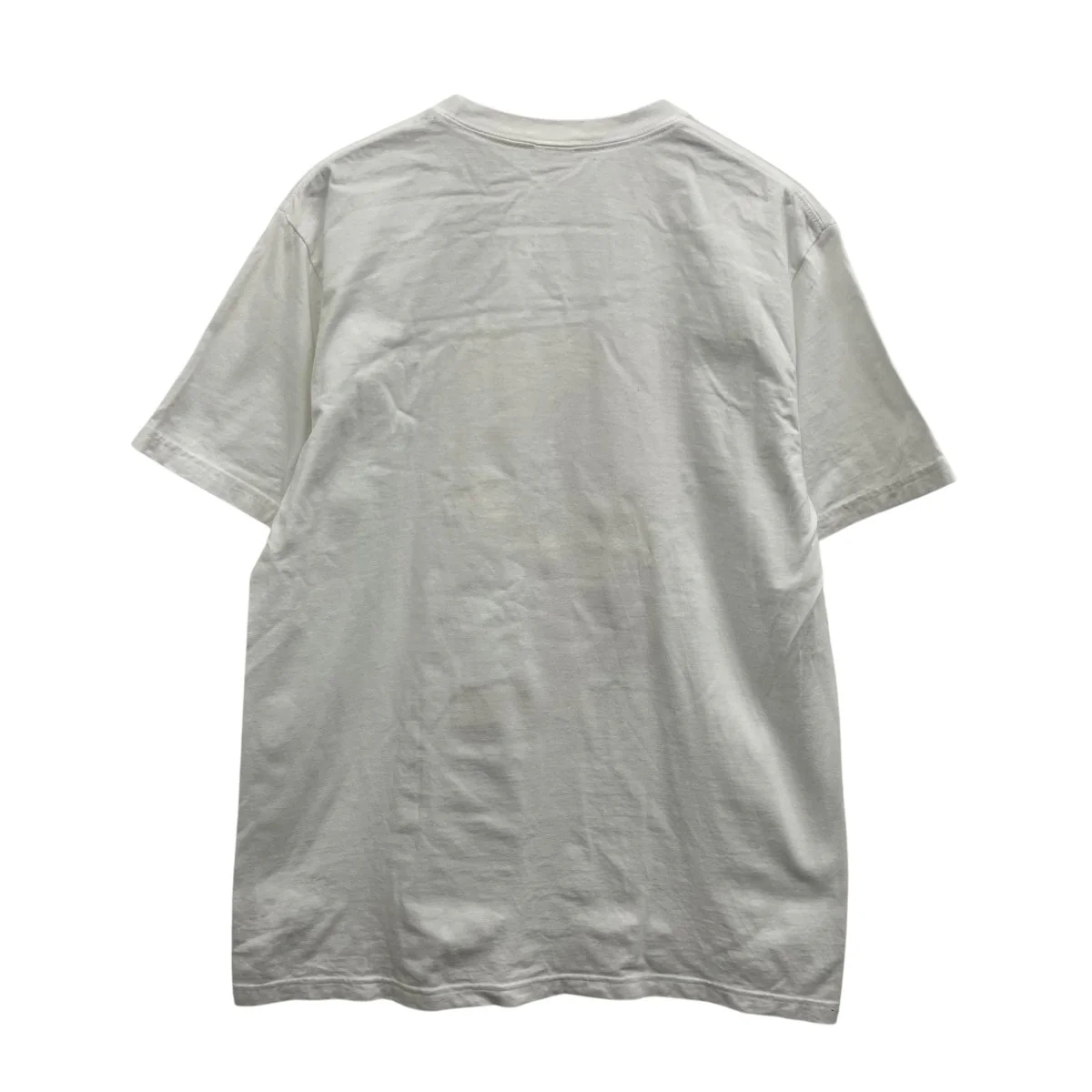 ANATOMY TシャツプリントTシャツ - Image 2