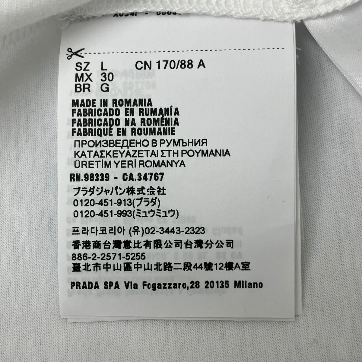 無地Tシャツ - Image 5