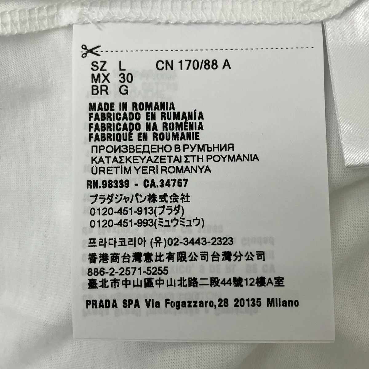 無地Tシャツ - Image 6