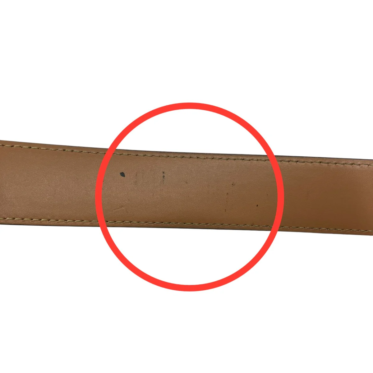 CURVED BUCKLEベルト - Image 8